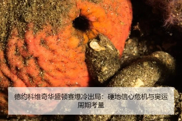 de-yue-ke-wei-qi-hua-sheng-dun-sai-bao-leng-chu-ju-ying-di-xin-xin-wei-ji-yu-ao-yun-zhou-qi-kao-liang-3-322.jpg